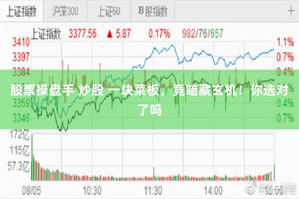 股票操盘手 炒股 一块菜板，竟暗藏玄机！你选对了吗