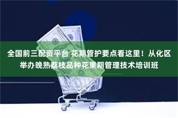 全国前三配资平台 花期管护要点看这里！从化区举办晚熟荔枝品种花果期管理技术培训班