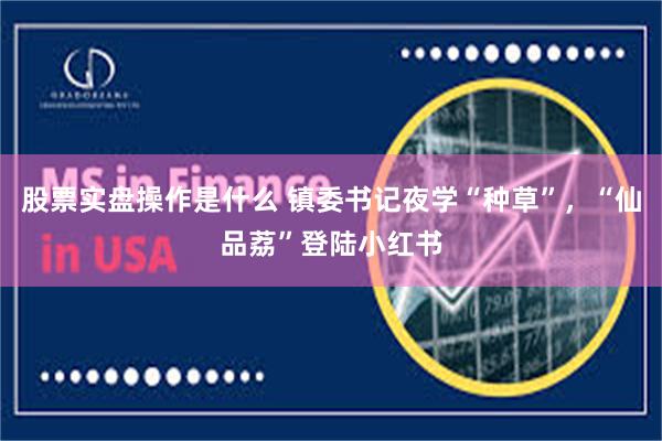 股票实盘操作是什么 镇委书记夜学“种草”，“仙品荔”登陆小红书