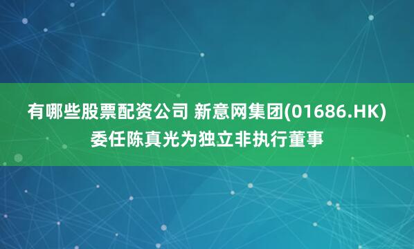 有哪些股票配资公司 新意网集团(01686.HK)委任陈真光为独立非执行董事