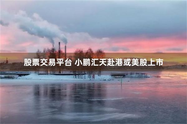 股票交易平台 小鹏汇天赴港或美股上市