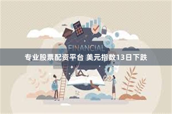 专业股票配资平台 美元指数13日下跌