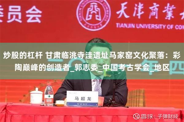 炒股的杠杆 甘肃临洮寺洼遗址马家窑文化聚落：彩陶巅峰的创造者_郭志委_中国考古学会_地区
