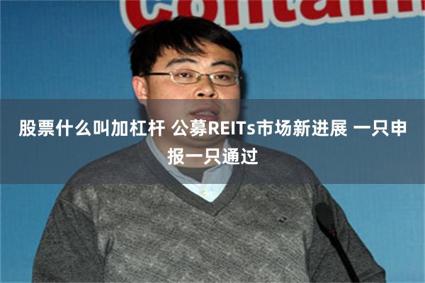 股票什么叫加杠杆 公募REITs市场新进展 一只申报一只通过