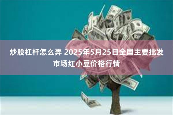 炒股杠杆怎么弄 2025年5月25日全国主要批发市场红小豆价格行情