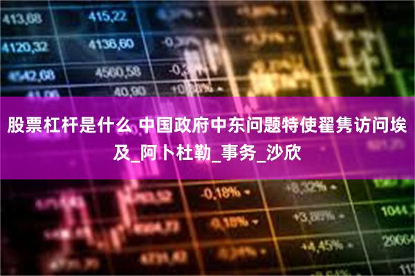 股票杠杆是什么 中国政府中东问题特使翟隽访问埃及_阿卜杜勒_事务_沙欣