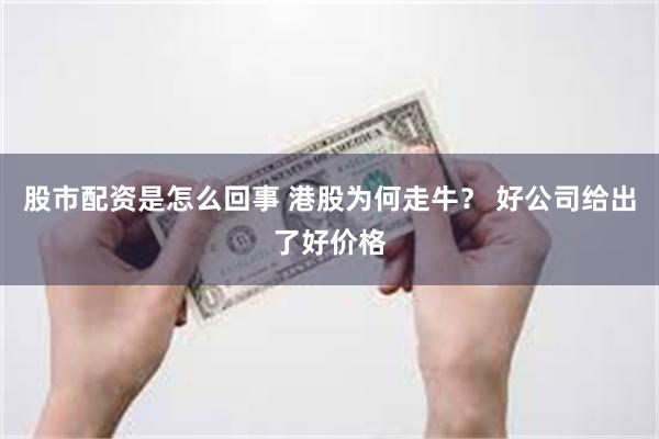 股市配资是怎么回事 港股为何走牛？ 好公司给出了好价格