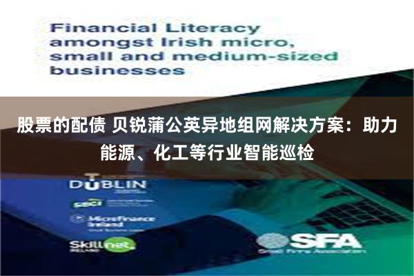 股票的配债 贝锐蒲公英异地组网解决方案：助力能源、化工等行业智能巡检