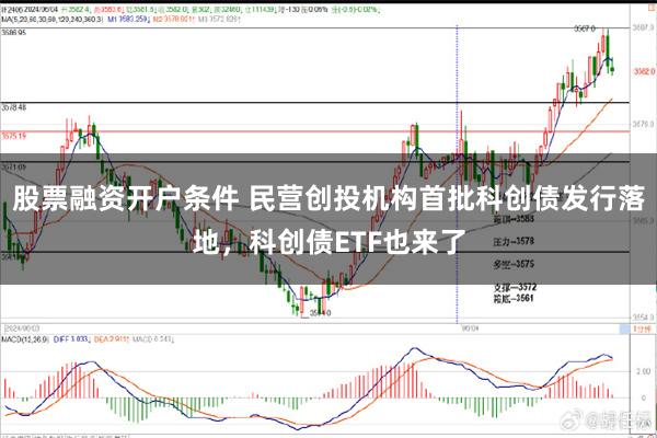 股票融资开户条件 民营创投机构首批科创债发行落地，科创债ETF也来了