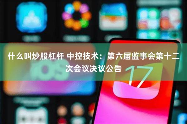 什么叫炒股杠杆 中控技术：第六届监事会第十二次会议决议公告