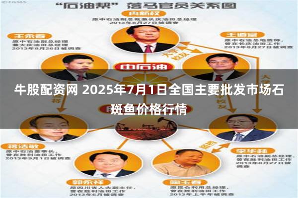 牛股配资网 2025年7月1日全国主要批发市场石斑鱼价格行情