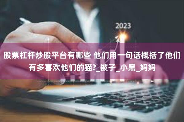 股票杠杆炒股平台有哪些 他们用一句话概括了他们有多喜欢他们的猫?_被子_小黑_妈妈