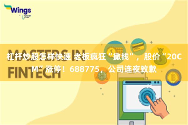 杠杆炒股怎样快速 老板疯狂“撒钱”，股价“20CM”涨停！688775，公司连夜致歉