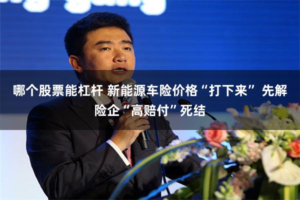 哪个股票能杠杆 新能源车险价格“打下来” 先解险企“高赔付”死结